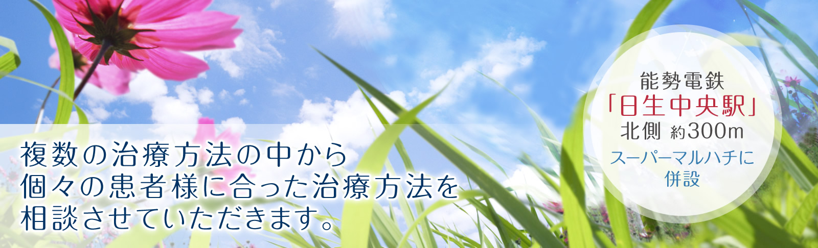 複数の治療方法の中から個々の患者様に合った治療方法を相談させていただきます。能勢電鉄日生線「日生中央駅」北側すぐの【整形外科ひぐちクリニック】です。